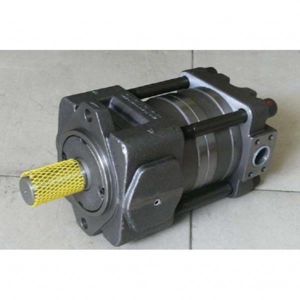 QT2323-6.3-6.3MN-S1162-A Pompa Roda Hidrolik