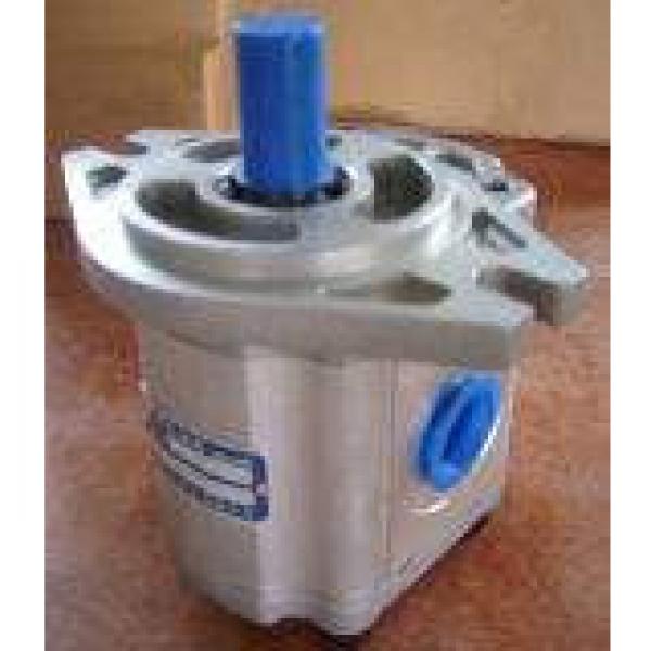 QT2323-6.3-6.3MN-S1162-A Pompa Roda Hidrolik